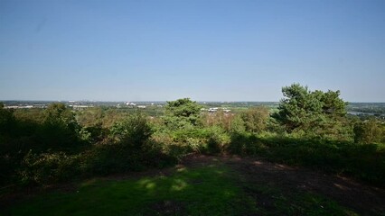 Wall Mural - Lickey Hills country Park West Midlands England UK