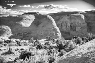 Poster - Amazing view of Arches National Park, Utah in summer season