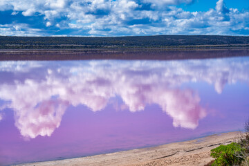 Poster - Colors and reflections of Pink Lake, Port Gregory. Western Australia