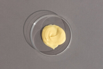 Wall Mural - The texture of yellow cream in a Petri dish on a gray background. The concept of laboratory research of cosmetics. Smear of skincare cosmetics product.