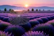 A highly realistic 8k sunrise over a lavender fiel (19)