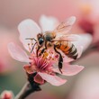 bee on pink flower, working closeup bokeh 