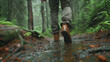 Close up of man's legs in walking on forest trail When it rains