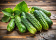 beautiful fresh ripe cucumbers on a wooden table