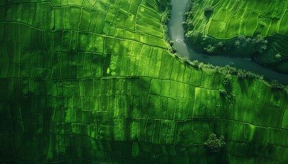 Wall Mural - Aerial view of lush agricultural fields along river, digital illustration in matte painting style