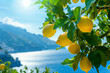Bright ripe lemons on the tree on the background of the Mediterranean city, sea coast surrounded by green mountains.