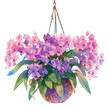 Vanda Miss Joaquim, pink and violet hues, vibrant watercolor, hanging basket, watercolor, isolate.