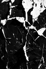Fototapete - Abstract expressionist style black and white monochrome painting with dynamic brush strokes and texture