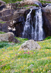 Wall Mural - rocky mountain scenery and landscapes