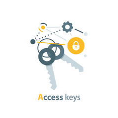 Wall Mural - Access keys,Success secret key discovery,leadership key success concept