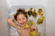 Happy beautiful child, kid, playing with small beautiful ducklings or goslings, cute fluffy yellow animal birds in bathtub