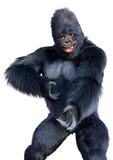 Fototapeta Koty - 3D Rendering Black Gorilla Ape on White