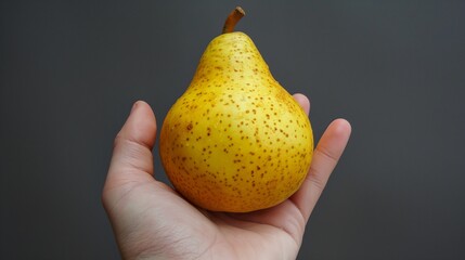 Poster - Hand displaying an exceptionally large yellow pear with a green stem in a phone photograph