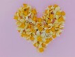 Daffodil flowers heart on pink paper background. Yellow daffodil (narcissus) flower in love shape isolated. First spring narcis flower heart. Tender romantic gentle daffodil heart fond for 8 march day
