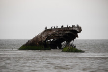 This Is The Stone Ship Or Concrete Ship Of Cape May New Jersey. The Piece Of Ship Protruding From The Water Is Now A Bird Refuge. Double-crested Cormorants Are Seen Perched On Top Here.