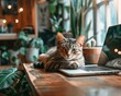 A cute cat is lying on a desk in front of an open laptop. The cat has one paw on the keyboard and is looking at the camera. There are plants and other objects on the desk. The background is blurry.