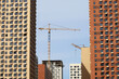 New residential buildings and tower cranes. House development, high-rise construction