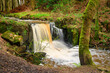 Birkey Burn Waterfall in Target Wood, a rural ancient woodland through which Birkey Burn runs, near Hexham in Northumberland