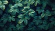 Small green leaves texture background 