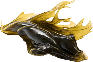 seaweed isolated on white or transparent background,transparency