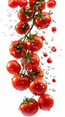 Wall Mural - Fresh tomatoes falling gracefully against a pristine white background, captured with precise clarity.