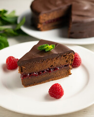 Wall Mural - Chocolate Sachertorte with raspberry jam filling.