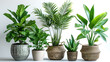 Diverse Tropical Plants Collection in Unique Pots, Generative AI