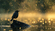 A silhouette of a bird on a log with golden bokeh lights in the background, likely in the rain.
