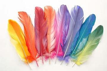 Sticker - Rainbow-colored feathers transparently arranged in a fan shape