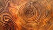 A close up of a brown hardwood trunk showing a beautiful circular pattern, highlighting the natural beauty of the woody plant organism. The wood stain and varnish enhance its natural charm
