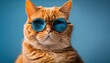 An orange cat is wearing sunglasses and looking at the camera with a slight smile on its face. The background is blue.

