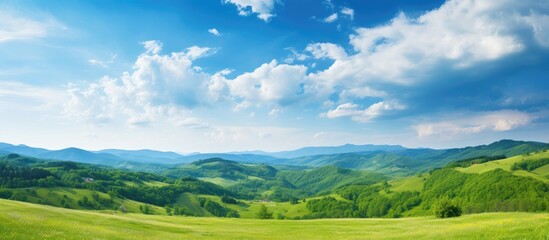 Poster - A meadow with distant peaks