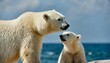 a photo of mother polar bear and her cub concept of love mother s day motherhood fatherhood parenting and wildlife conservation and protection