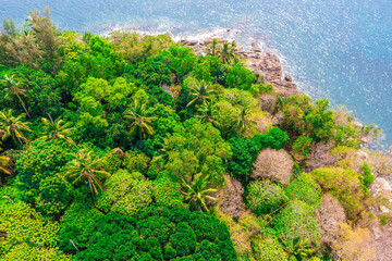 Wall Mural - Aerial view of sea waves fantastic wild rocky coast.