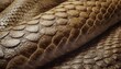 close up of snake leather texture print background reptile skin backdrop for fashion textile print banner