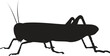 grasshopper flat icon on white transparent background. You can be used black ant icon for several purposes.