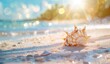 Summer background with shells on beach and blue sea