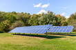 Rows of solar panels with trees in background in the countryside on a clear autumn day