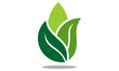 green vector leaf logo