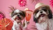 Two Shih Tzus in a tropical setting, one licking a cocktail with a whimsical expression, Concept of humor and pet personalities in leisure settings