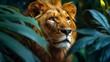Portrait of lion behind the bushes. Strong and wild animal in the jungle.
