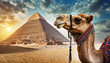 a camel poses against the backdrop of landmarks, the Egyptian pyramids in Giza. Travel postcard to commemorate your visit to Egypt