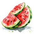 A slice of watermelon is lovingly detailed in watercolor