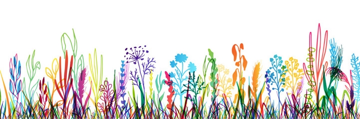 Grass with herbs and wild flowers. Colorful vector isolated silhouette of floral meadow. Horizontal border.