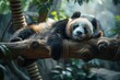 Tranquil panda relaxing on a wooden log at the zoo.