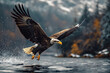 Eagle catches fish with its feet on the water. Animal theme backgrounds.