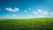 © YOGI C - a lush green field under a clear blue sky with fluffy white clouds
