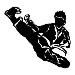 Wall Mural - karate taekwondo fly jump kick