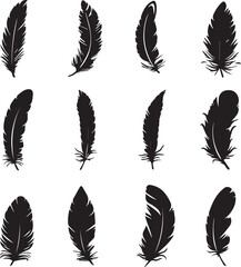 Poster - set of feathers vector