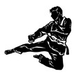 karate taekwondo fly jump kick